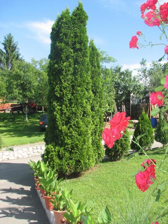 Apartment Ilija Rakovica Δωμάτιο φωτογραφία