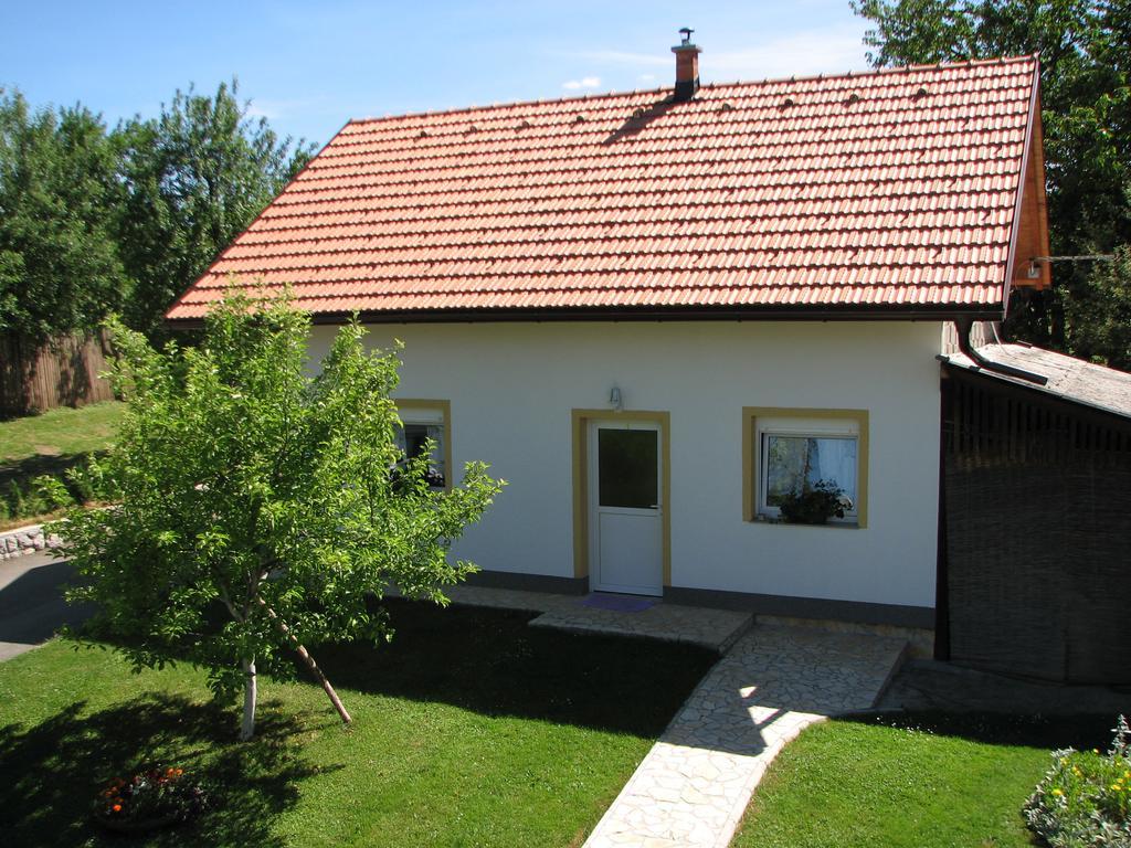 Apartment Ilija Rakovica Εξωτερικό φωτογραφία